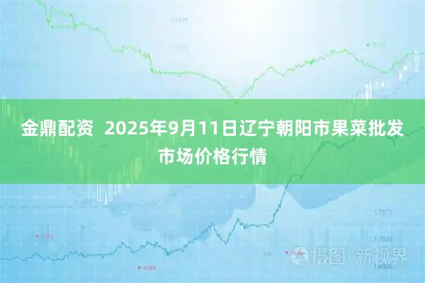 金鼎配资  2025年9月11日辽宁朝阳市果菜批发市场价格行情