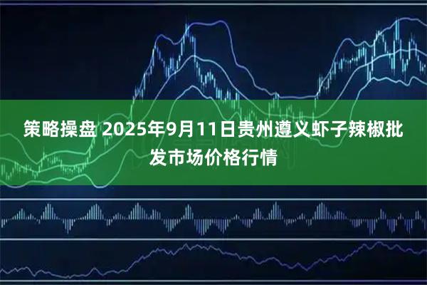 策略操盘 2025年9月11日贵州遵义虾子辣椒批发市场价格行情