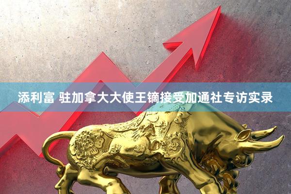 添利富 驻加拿大大使王镝接受加通社专访实录