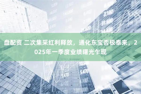 盘配资 二次集采红利释放，通化东宝否极泰来，2025年一季度业绩曙光乍现