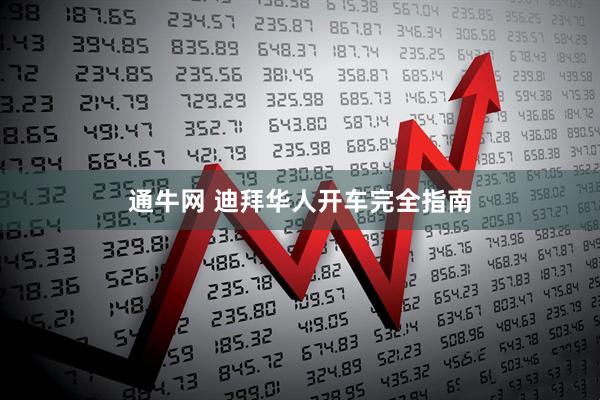 通牛网 迪拜华人开车完全指南