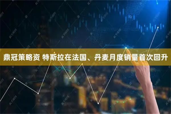 鼎冠策略资 特斯拉在法国、丹麦月度销量首次回升
