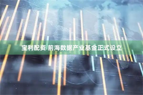 宝利配资 前海数据产业基金正式设立