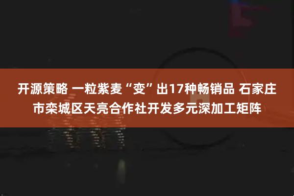 开源策略 一粒紫麦“变”出17种畅销品 石家庄市栾城区天亮合作社开发多元深加工矩阵