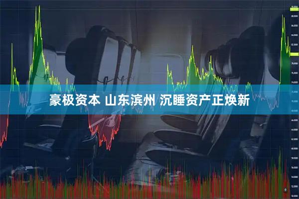 豪极资本 山东滨州 沉睡资产正焕新