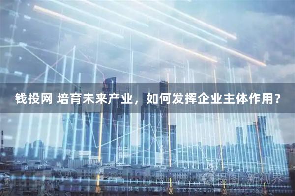 钱投网 培育未来产业，如何发挥企业主体作用？