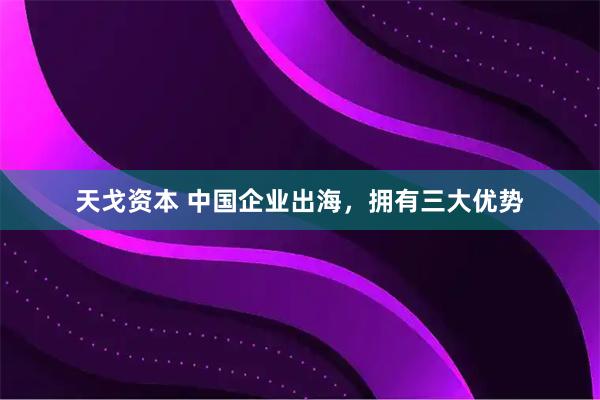 天戈资本 中国企业出海，拥有三大优势