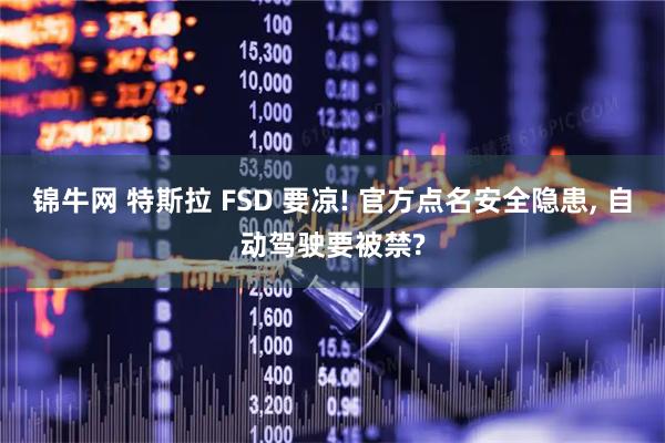 锦牛网 特斯拉 FSD 要凉! 官方点名安全隐患, 自动驾驶要被禁?